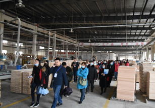 合作共贏 光明家具南京工廠攜手軒轅裝飾專屬訂購會圓滿成功