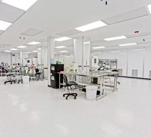 合肥電子廠裝修避坑指南 與六安裝飾合作前的關(guān)鍵注意事項(xiàng)