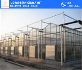 勝發(fā)溫室大棚廠 六安溫室大棚的專業(yè)之選與裝飾解決方案