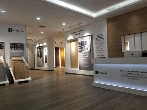 海安又一裝飾大牌重磅來襲，六安裝飾震撼登場