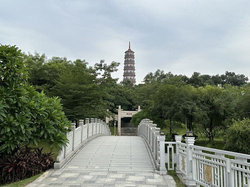 琶洲塔公園門票與游玩攻略｜自助出游最佳指南