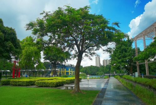 廣東中山 一座由舊廠房蝶變的獲獎公園，如何用創(chuàng)意點亮城市記憶？
