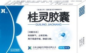 桂靈膠囊權威全解 招商指南、說明書與醫藥價值深度分析